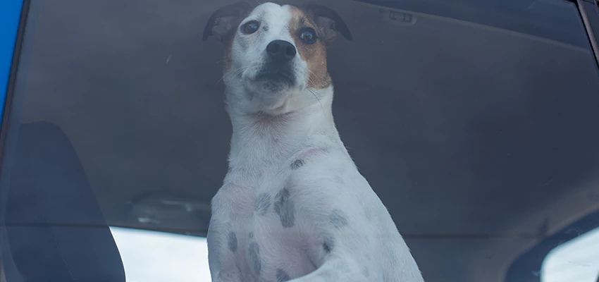 Car Lockout Solutions in Galt, California